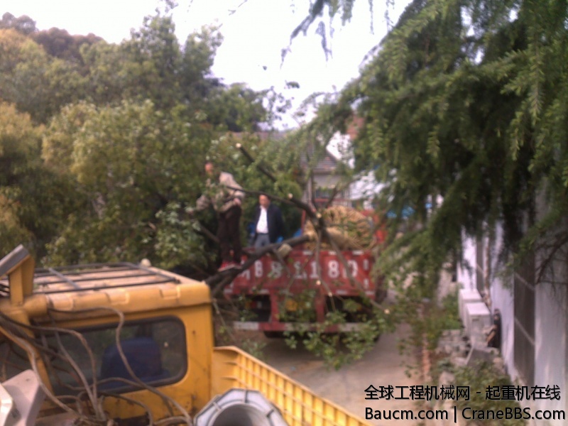 201001012249.jpg
