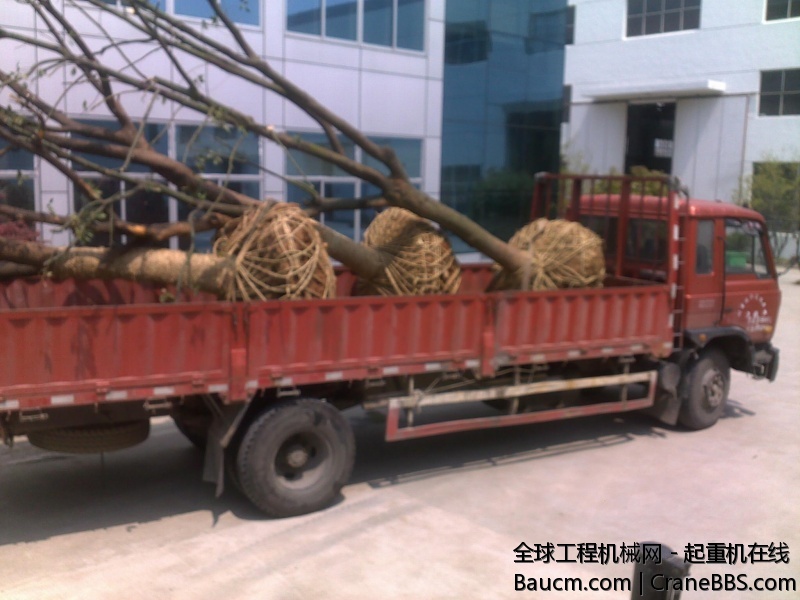 201001022250.jpg