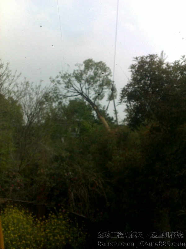 201001012247.jpg