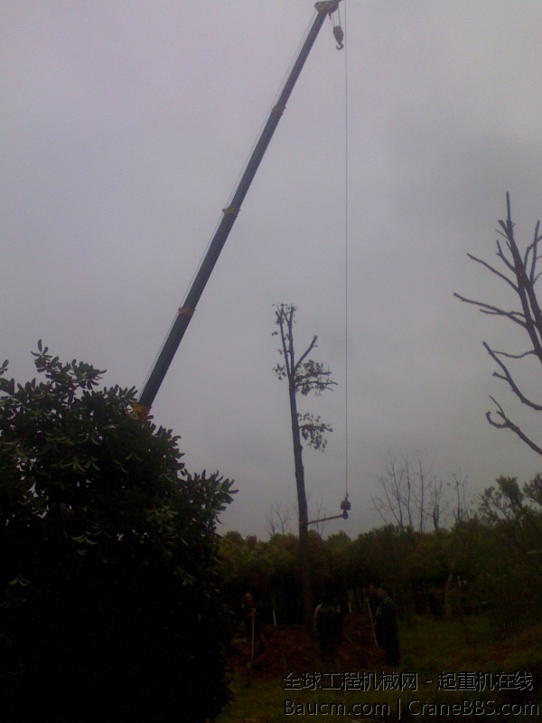 IMG0412130500.jpg