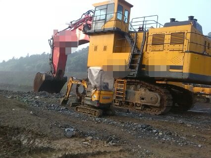 三一试验场里的小伙伴 (1).jpg