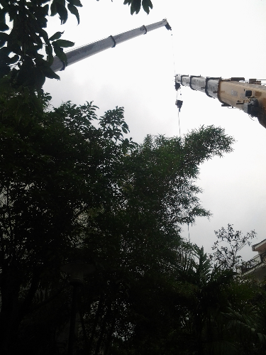 20140421_154644.jpg