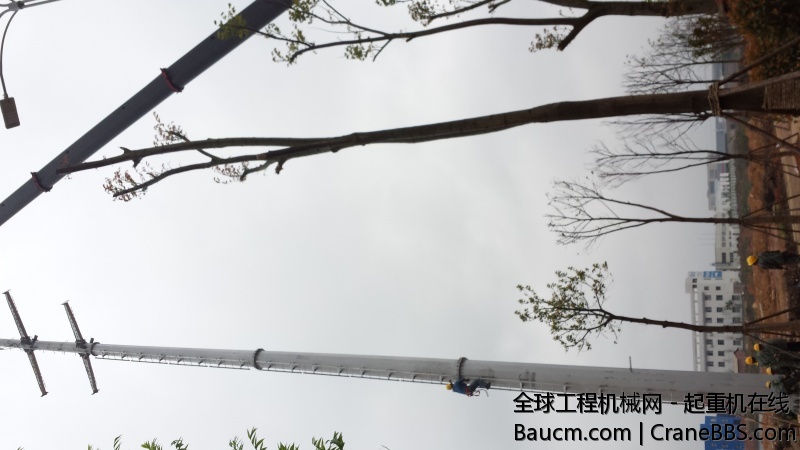 20140412_122938.jpg