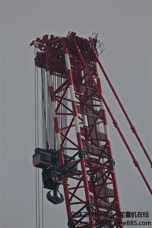 FL4A8143.jpg