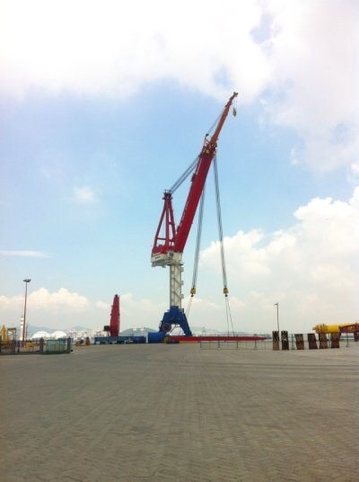 螃蟹照片 577.jpg