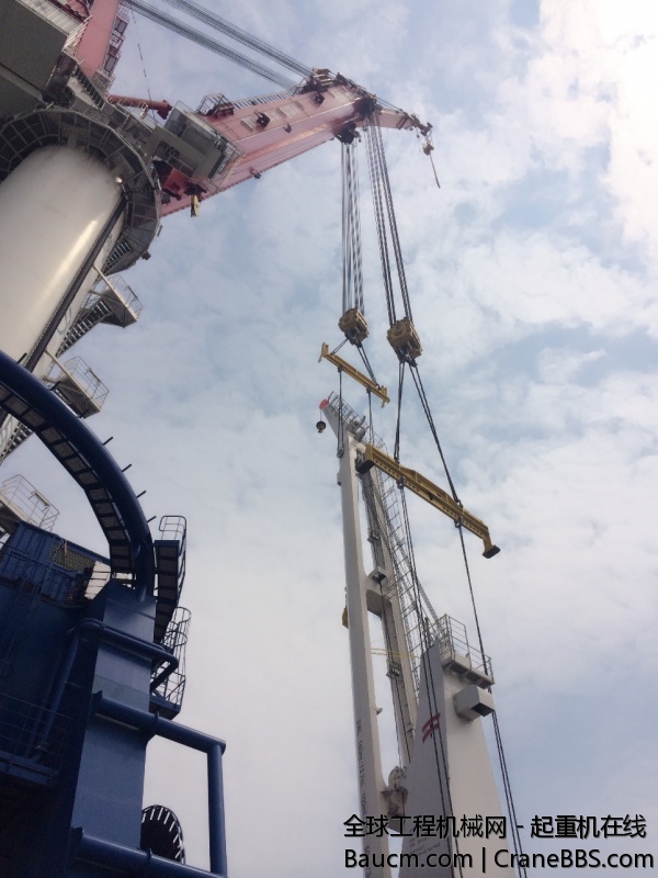 螃蟹照片 294.jpg