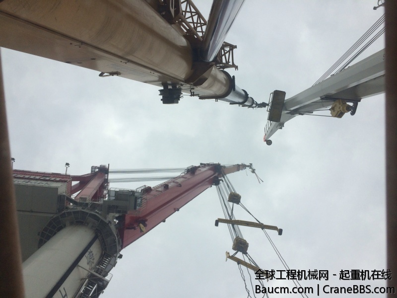 螃蟹照片 287.jpg