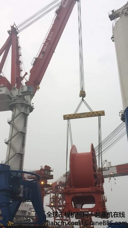 螃蟹照片 677.JPG