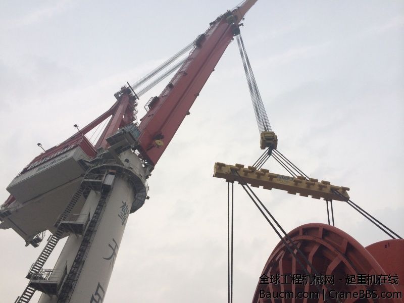 螃蟹照片 681.jpg