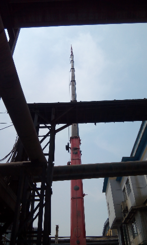 IMG_20140508_124731.jpg