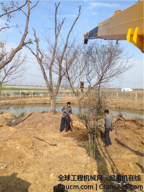 IMG_0740_旋转.jpg