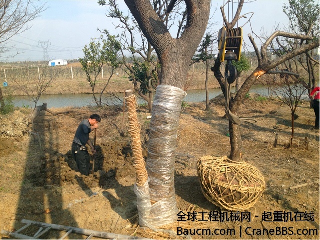 IMG_0741_旋转.jpg