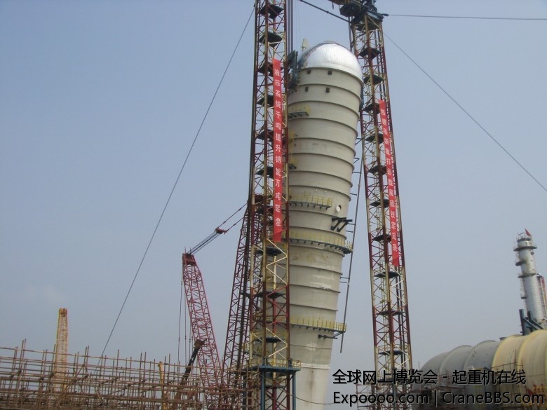 S73F2781_conew1.JPG