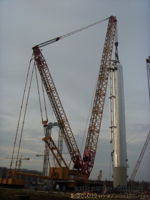 S73F2631_conew1_jpg_thumb.jpg