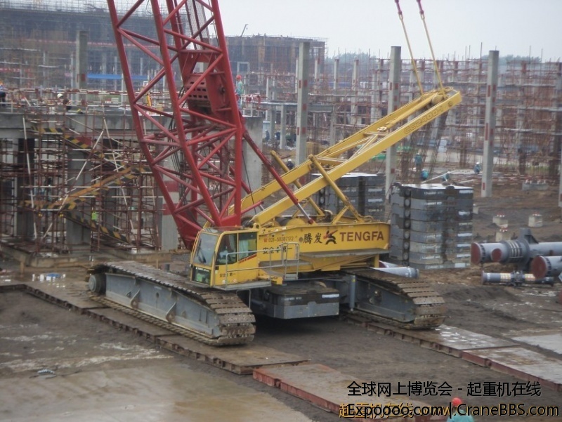 S73F2830_conew1_JPG_thumb.jpg