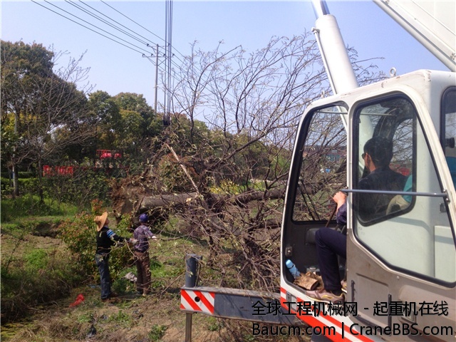 IMG_0920_旋转_副本.jpg