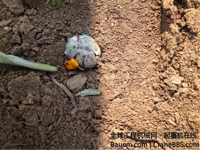 IMG_0925_副本_旋转.jpg