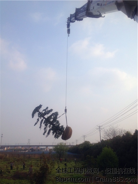 IMG_0932 (2)_副本_旋转.jpg