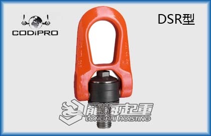 DSR1.jpg