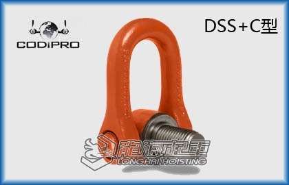 DSS C1.jpg