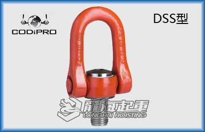 DSS1.jpg