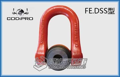 FE.DSS1.jpg