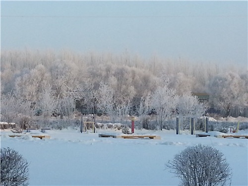 20131207_074248.jpg