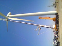 psb (3).jpg