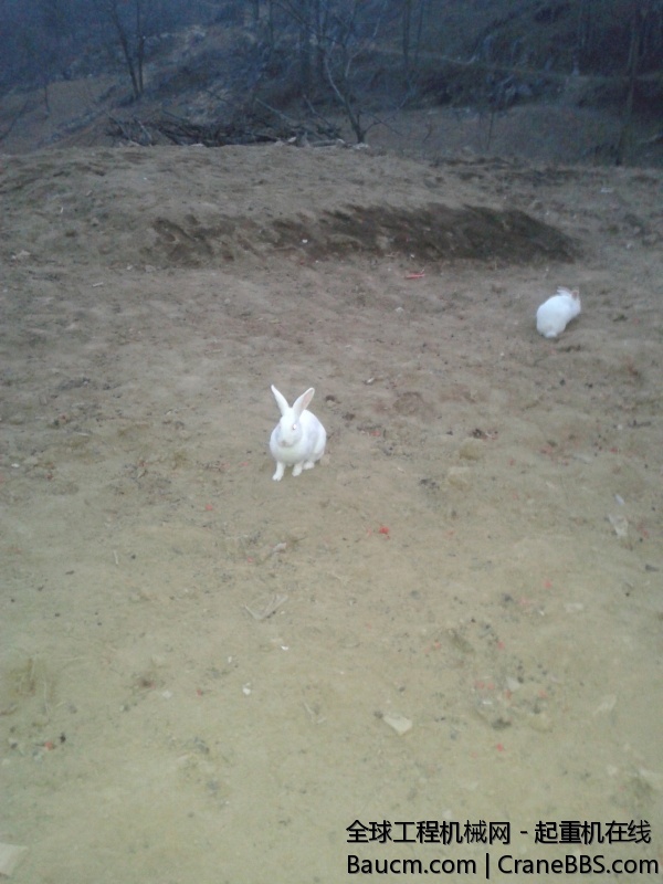 20140203_182831.jpg