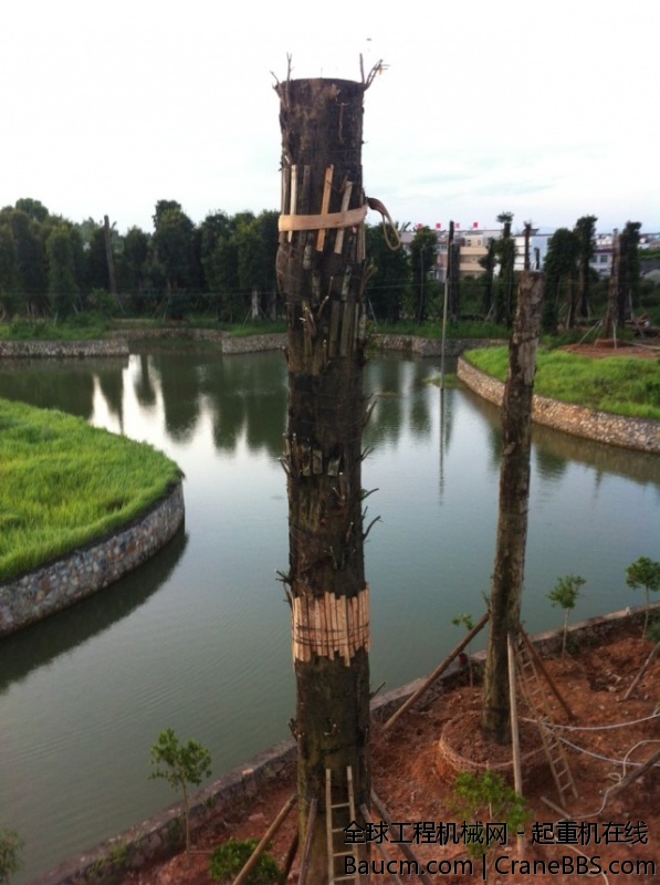 psb (41).jpg