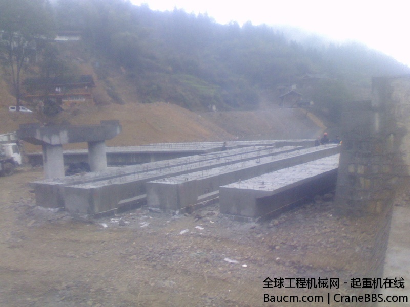 IMG0228100503.jpg