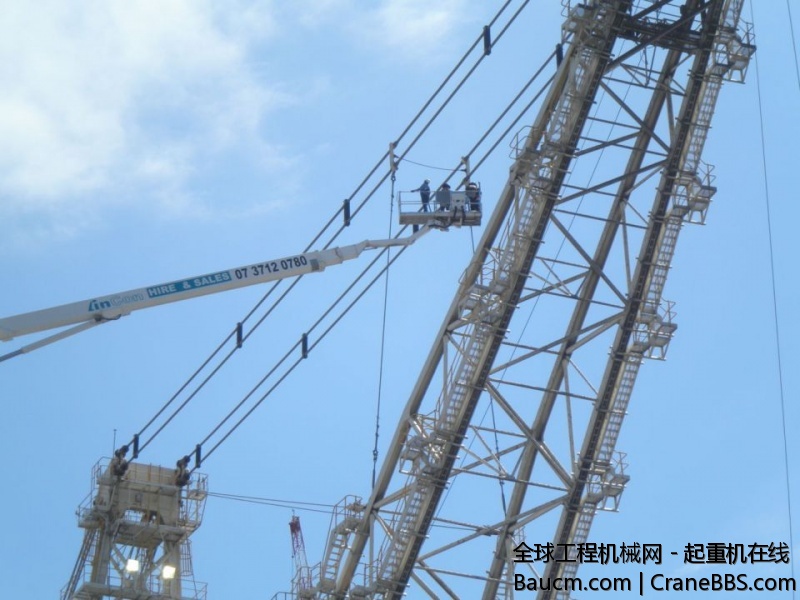 帕尔菲格 (20).jpg