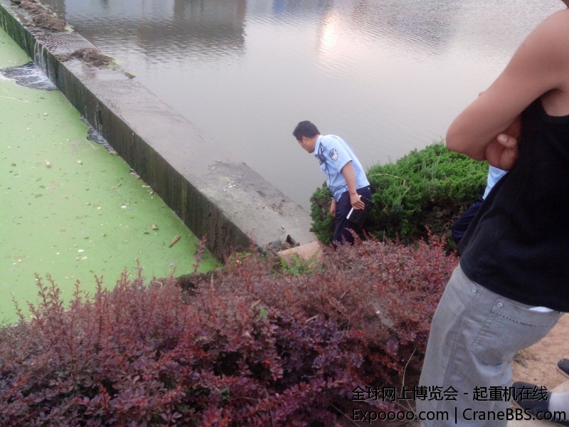 IMG20140709006.jpg