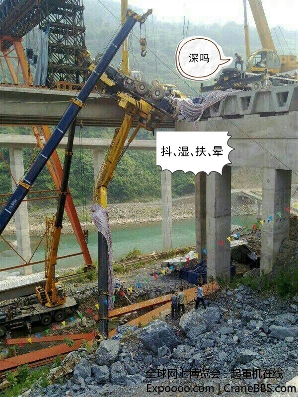 神马_副本.jpg