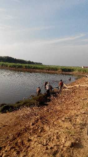 IMG_20140707_175410.jpg