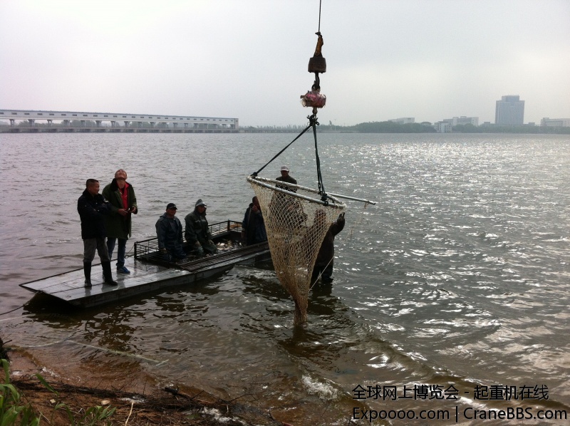 IMG_1955.JPG