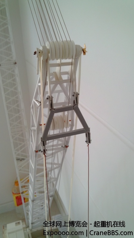 cc8800 182353.jpg