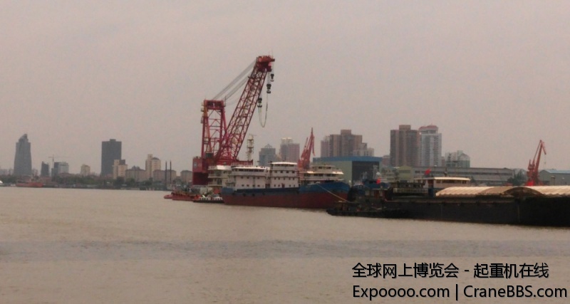 IMG_20140717_110159.jpg