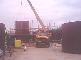 IMG0677A.jpg