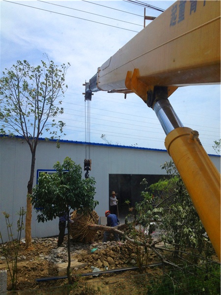 IMG_2056_旋转.jpg