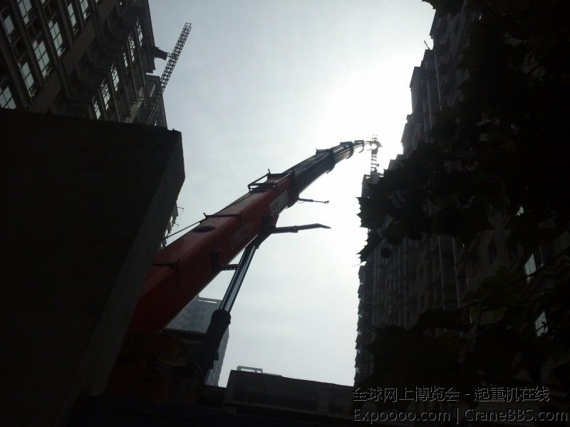 20140811_092543.jpg