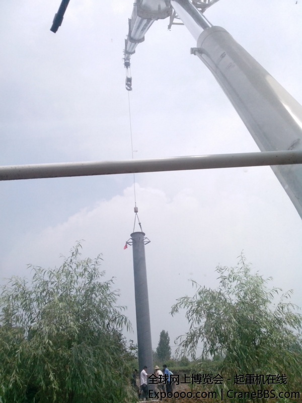 IMG_20130727_120303.jpg