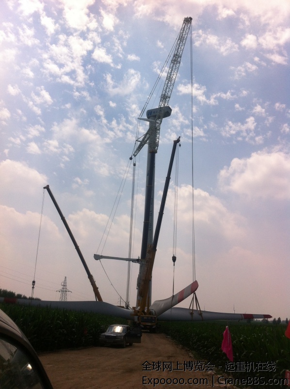 LTM11200.9.1 008.JPG