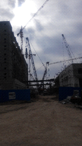 IMG_20141005_122956.jpg