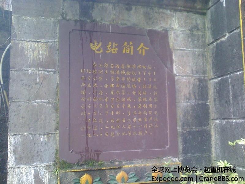 IMG1002084701.jpg
