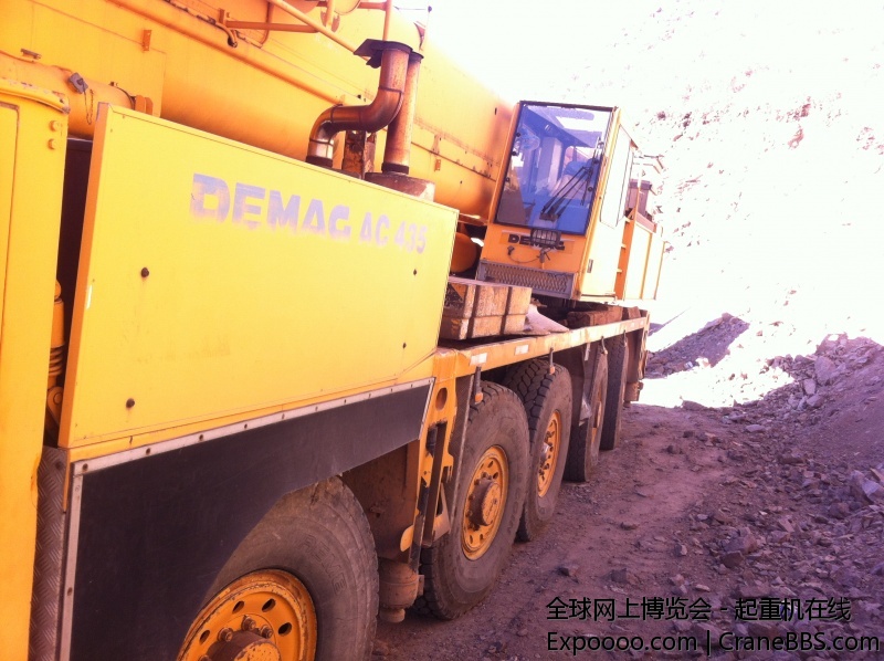 经历了风雨变的淡黄