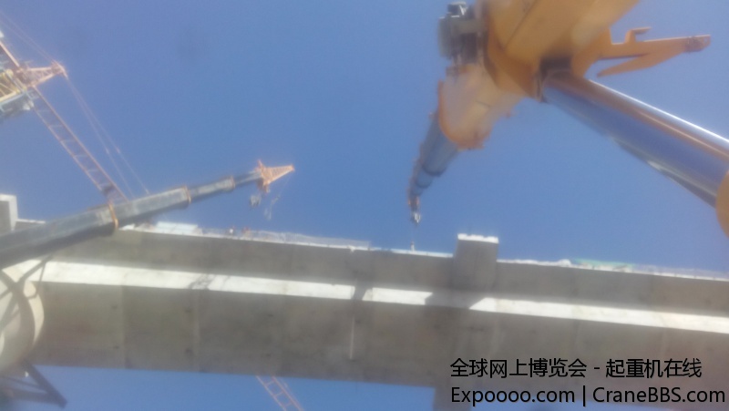 蛋疼啊