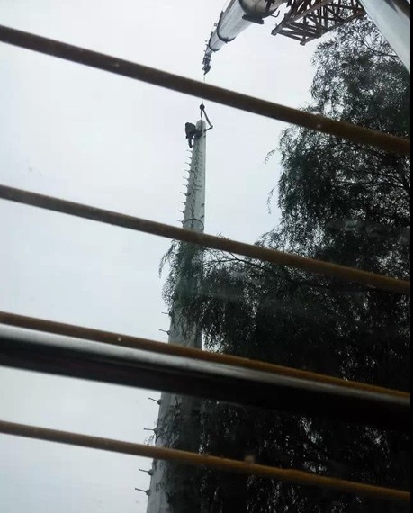 QQ图片20141107105446.jpg