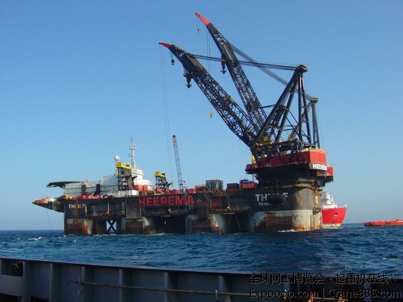 THIALF_02.jpg