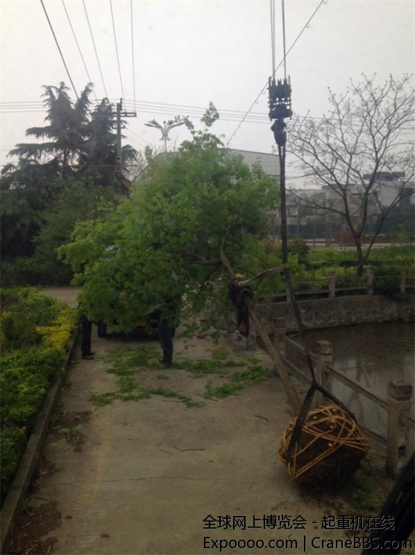 IMG_1019_副本.jpg